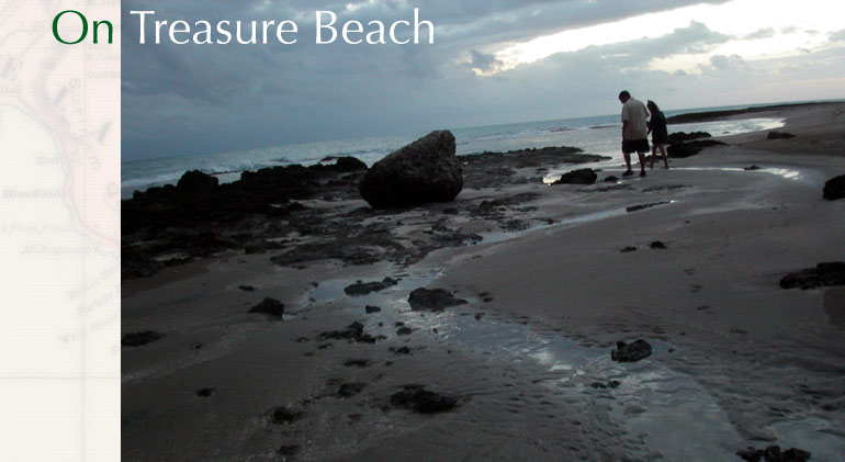 On Treasure Beach... Amy and Tanuj explore the tidal pools on a lonely stretch of beach...